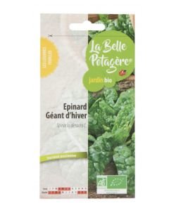 Giant Winter Spinach BIO,